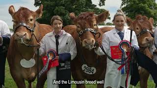 RHS TV  Saturday at the Royal Highland Show 2024 [upl. by Stichter640]