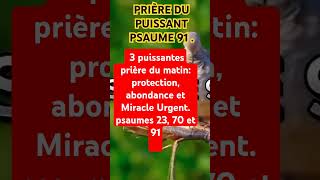 Psaume 91la prière la plus puissante de la biblela protection de Dieu et guérison prière du matin [upl. by Atikram]