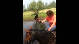 Anne Nalewaja and Luke AKA Dennis the Menace take a swim May 2012 [upl. by Eldreda]