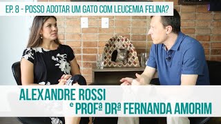 NOBIVAC  Vacinação em Gatos Ep 8  Posso adotar um gato com leucemia felina [upl. by Adelbert]