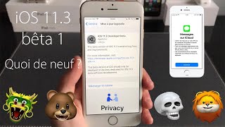 iOS 113 bêta 1 plus de problèmes de batterie  Pleins de nouveautés [upl. by Adav]