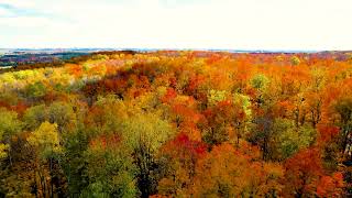 Flying over the Silver Creek with relaxing music Part 1 4k nature drone filmmaker studio [upl. by Yarehs]