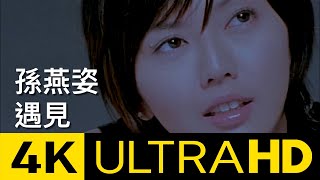 孫燕姿 Sun YanZi  遇見 Encounter 4K MV Official 4K UltraHD Video [upl. by Fitzger278]