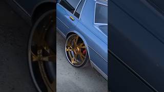 Box Chevy Brougham Gold 26 Forgiatos 🏆 with that WAM in the Trunk subscribe youtube shorts [upl. by Eisus225]