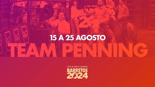 1708 Classificatória Team Penning  Barretos 2024 [upl. by Ainnos]