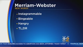 MerriamWebster Ads Hundreds Of New Words [upl. by Aicia]