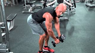 Standing Rear Delt Dumbbell Raise [upl. by Kezer794]