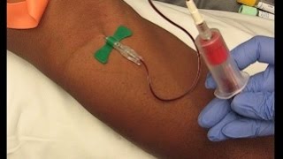 Phlebotomy Procedure Venipuncture with 21G Butterfly education phlebotomy tutorials [upl. by Leksehc824]