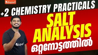 Plus Two Chemistry Practicals  Salt Analysis  Introduction  Eduport Plus Two [upl. by Kurman472]