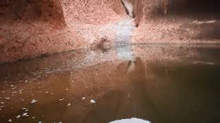 Mutitjulu Waterhole after rain Uluru [upl. by Darbee]