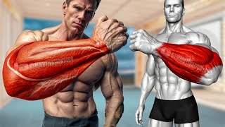 6 Best Brachioradialis Exercises [upl. by Lemrahc]