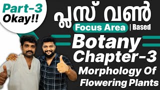 Plus One Botany  Focus Area Based Class  Chapter 3  Morphology of Flowering Plants  Part 3 [upl. by Ylluz660]