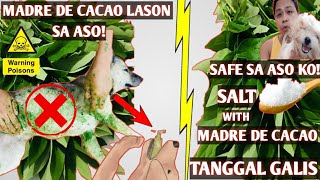 MADRE DE CACAO LASON SA ASO [upl. by Notnil472]