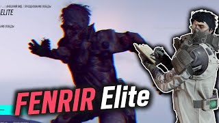 Fenrir Elite MVP Animation  Operation Deadly Omen  Rainbow Six Siege [upl. by Rovelli]