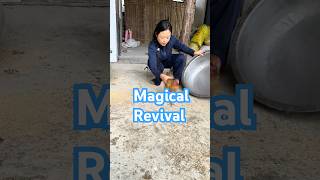 Magic Revival Watch How This NearDead Chicken Comes Back to Life with Just a Pot and Some Taps [upl. by Eseyt910]