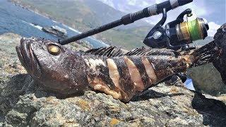 How to CATCH and Cook Whole Fish on an Open Flame [upl. by Nylrebmik]