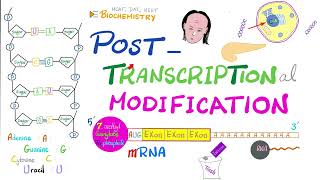 Posttranscriptional modification hnRNA to mRNA Splicesome Splicing Cap Tail Introns Exons [upl. by Ahscrop]