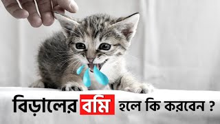 Cat Vomiting Problem Solution  বিড়ালের বমি সমস্যার সমাধান জানুন এই ভিডিও তে  Infotent [upl. by Fari185]