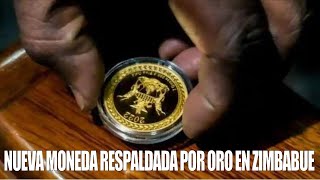 La Nueva Moneda Respaldada por Oro de Zimbabwe ¿Amenaza para el Dólar [upl. by Fredelia]