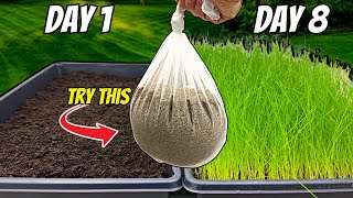 The FASTEST Way to Grow Grass Seed Pregermination Secrets REVEALED [upl. by Adnot]