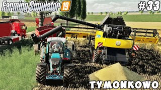 Harvesting triticale making straw pellets  Tymonkowo Farm  Farming simulator 19  Timelapse 33 [upl. by Glenn]