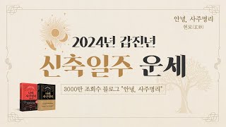 2024년 갑진년 신축일주 운세 [upl. by Hamon]