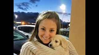 Surprising My Girlfriend With Our New Puppy [upl. by Harbard]