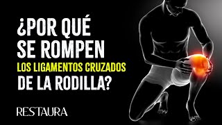 Conoce la estructura de los ligamentos de la rodilla [upl. by Riay160]