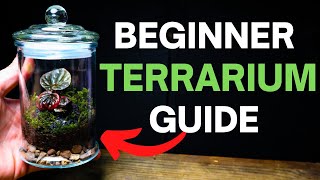 How To Make a Terrarium  A SIMPLE Beginner Guide [upl. by Ardnohsed218]