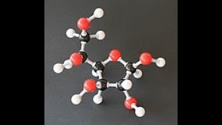 Carbohydrates Mono amp Disaccharide [upl. by Nnayrb]