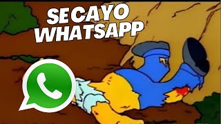 Se Cayo WhatsApp [upl. by Ikkaj4]