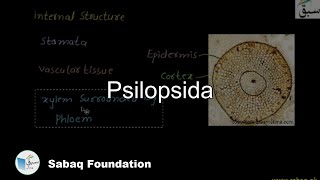 Psilopsida Biology Lecture  Sabaqpk [upl. by Seema751]