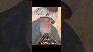 Mevlana Celaleddini Rumi Hazretleri 27 [upl. by Anailuy]