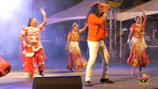 Chutney Soca Monarch Finals 2017 Chris Garcia  Chutney Bacchanal  Firepower Fireworks [upl. by Akemeuwkuhc]