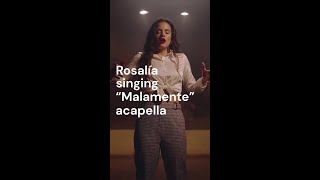 Rosalía singing quotMalamentequot acapella [upl. by Artemisa230]