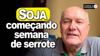 Soja começando semana de serrote Vlamir Brandalizze comenta [upl. by Schrader767]