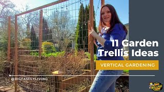 11 Garden Trellis Ideas [upl. by Cornelle]