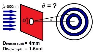 Physics  Diffraction of Light 4 of 4 Circular Diffraction Patterns [upl. by Saint579]