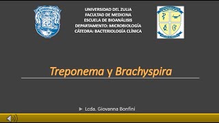 TEMA 13 Treponema y Brachyspira [upl. by Hyo179]