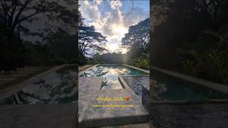 Best evenings in Sri Lanka 🇱🇰 GlenMyu Estate  luxury in the hills travel srilanka swimming [upl. by Reginauld]