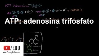 ATP adenosina trifosfato  Energia e enzimas  Biologia  Khan Academy [upl. by Yurik]