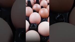 अंडे खाने के नुकसान EGG SIDE EFFECTS  Shuddhi  ACHARAY MANISH JI  AYURVEDA [upl. by Eveivenej]