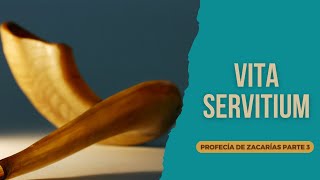 Profecía de Zacarías Parte 3  Vita Servitium [upl. by Aurilia242]