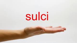 How to Pronounce sulci  American English [upl. by Wiburg]