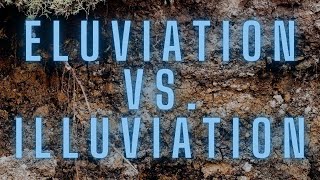 Eluviation vs Illuviation amp the E Horizon [upl. by Tiana]