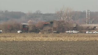 BNSF Train Derailment Pacific Junction Iowa [upl. by Atworth123]