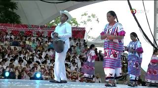 Guelaguetza 2017 Huautla de Jiménez  Sones Mazatecos  17 de Julio  Función Vespertina [upl. by Karin745]