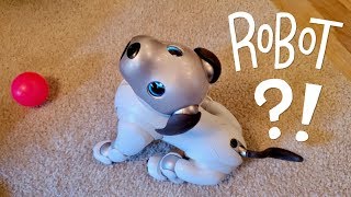 Our New Dog AIBO Pet Replacement Robot [upl. by Cirilo454]