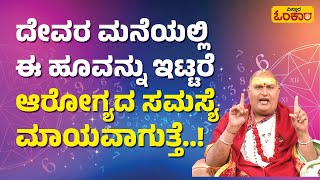 ದೇಹದ ನೋವಿಗೆ ಇದನ್ನು ಮಾಡಿದರೆ ತುಂಬಾ ಒಳ್ಳೆಯದು Brahmanda Guruji 2024 Bhavishya  2024 Astrology [upl. by Nnayram815]