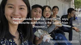 FUSIACCIP J1 Interns visited American Museum of Natural History on June 9 2019 [upl. by Eisac]